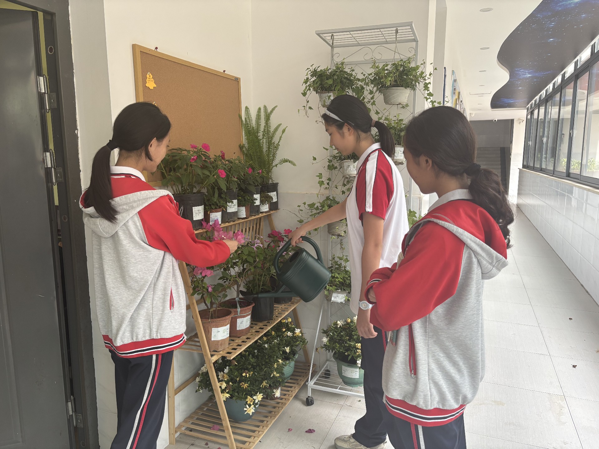 学生养护“生命树”1.JPG
