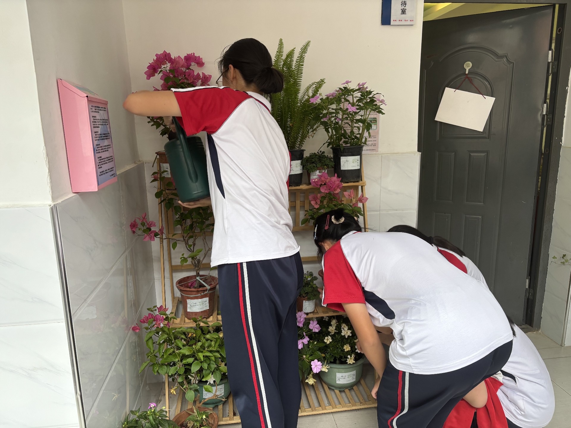 学生养护“生命树”3.JPG